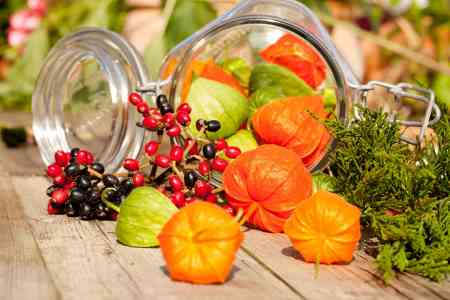 Herbstbild - © SG- design - stock.adobe.com